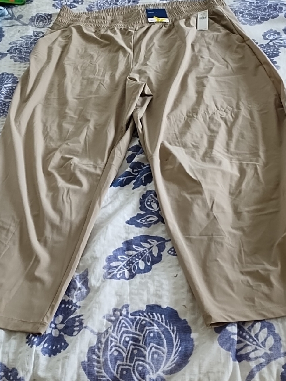 Beige Sleektech Pants